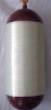 CNG Cylinder Type 2