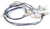 Cable Harness and Cable Assembly