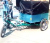 Cargo trike