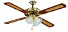 Ceiling fan