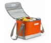 Cooler bag, lunch cooler bag, cooling bag, cooler,lunch bag,ice bag, nylon 600D cooler bag(ECB-001)