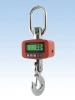 Crane Scale