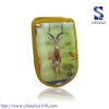 EVA Case