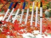 E-Cigar ,E-Cigarette, Electronic Cigar