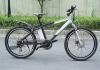 Electric Mountain-Bike(10AH/36V Li-ion Battery)