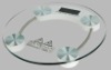 Electronic Body Health Scale/Human Body Scale (YZ-1603-A)