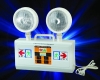 Emergency light