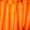 Fresh Carrots