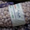 Fresh Garlic