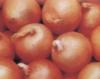 Fresh Onions