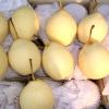Fresh Ya-Pears