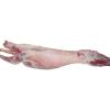 Frozen Mutton Carcass