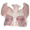 Frozen Whole Chicken Boneless/Skin-on