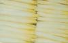 IQF White Asparagus