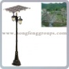 IR5007 - Solar Street Light