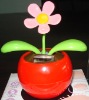 MST-002 Solar leaves-wiggle apple
