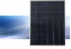Multi-crystalline Silicon Photovoltaic Module 175W, Solar Panel, Solar Module