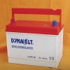 N50Z-MF battery