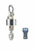 OCS-SZ-CP wireless crane scale & indicator