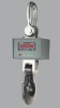 OCS-XZ-D(B)AE series Digital Crane Scale