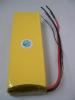 Polymer EV Battery Packs