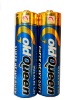 R6 super heavy duty battery battery