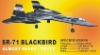 SR-71 Blackbird rc balsa plane