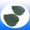 ST-ZX013 Scented Air Fresheners