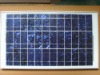 SUN50P-12  solar panel
