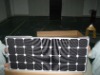 SUN80M-12 solar panel