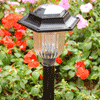 Solar Garden Light