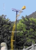 Solar Park Light