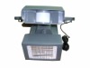 Solar Security Light