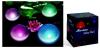 Solar Waterproof Floating Lamp