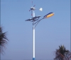 Solar street light of wind and light complementation
