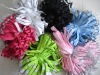Strap,Strap for Wii,Strap for PSP2000,Strap for DSL,Strap for DSi