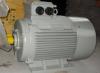 THREE PHASE ASYNCHRONOUS ELECTRIC MOTOR
