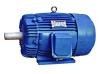 THREE PHASE  ELECTRICAL MOTOR