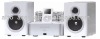 Vacuum Tube Audio Amplifier and Speaker IT101+SP800A
