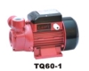 Vortex Water Pump