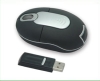 Wireless Optical Mouse,Mouse, wireless mouse