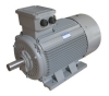 Y2 electrical motor