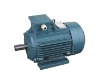 Y2 series three-phase induction motors
