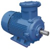 YB2 Series explosion-proof Three Phase Induction Motor