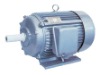 Y Series Three-Phase Induction Motor