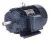 Y series electrical motor