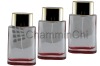 bottle/glass bottle/perfume bottle/cosmetic bottle CSB-008#