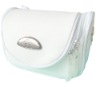 carry bag  for DSI