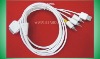chargeable AV cable for iPhone 3G(iph-080)