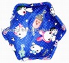 electric hot water bag